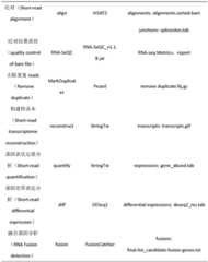 Figure BDA0002229286830000051