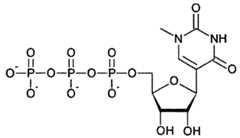 Figure imgf000060_0004