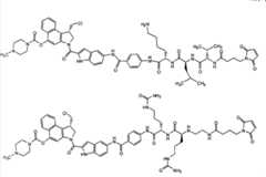 Figure G2007800504656D01321