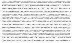 Figure imgf000328_0001