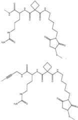 Figure imgf000579_0001