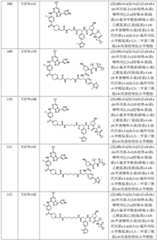 Figure BDA0002964098100002771