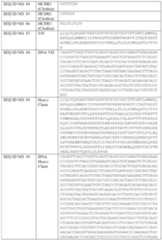 Figure imgf000065_0001