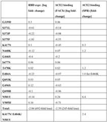 Figure imgf000135_0001