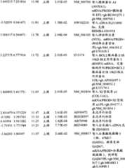 Figure BPA00001280678300611