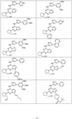 Figure imgf000031_0001