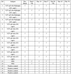 Figure imgf000263_0002