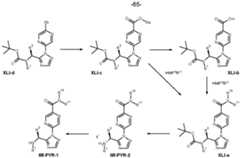 Figure imgf000066_0001