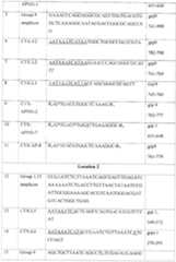 Figure imgf000021_0001