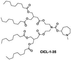 Figure imgf000043_0003