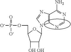 Figure US09271996-20160301-C00093