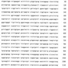 Figure 105116461-A0202-12-0341-191