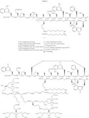 Figure US08278274-20121002-C00030