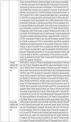 Figure BDA0004033970230005731