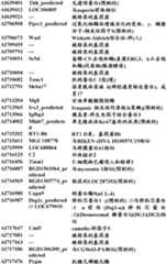 Figure BDA0000057170160001001