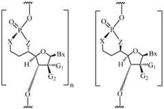 Figure imgf000014_0001