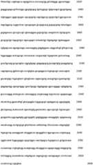 Figure IDA0002188388310000061