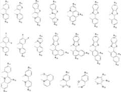 Figure S2005800489233D00171