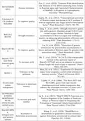 Figure PCTCN2022090268-appb-000020