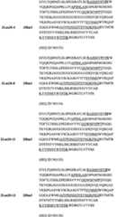 Figure BPA00001481527000471