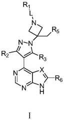 Figure BDA0002953599680000021