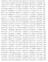 Figure 109115264-A0305-02-0203-4