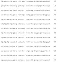 Figure 107108239-A0305-02-0062-25