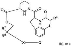 Figure imgf000033_0002