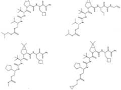 Figure imgf000249_0003