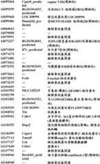 Figure BDA0000057170160000361