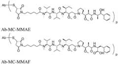Figure BDA0001241706110001061