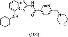 Figure GPA00001035513101101