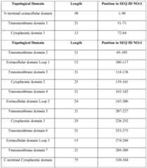 Figure imgf000017_0001