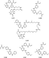 Figure BDA0001453135130000731