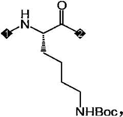 Figure PCTCN2022073822-appb-000449