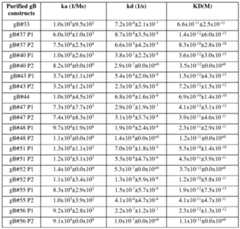 Figure imgf000044_0002