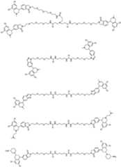 Figure PCTCN2021139314-appb-100049