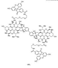 Figure imgf000305_0001