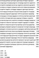 Figure RE-GDA0001905944050000551