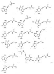 Figure imgf000200_0001