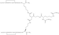 Figure US07906485-20110315-C00053