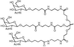 Figure imgf000005_0001