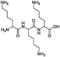 Figure BDA0004019260800000251