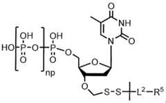 Figure imgf000221_0001