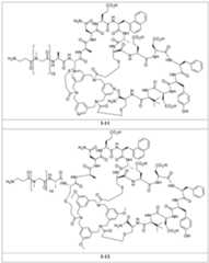 Figure 2024156841000332