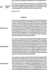 Figure BPA00001431277700551