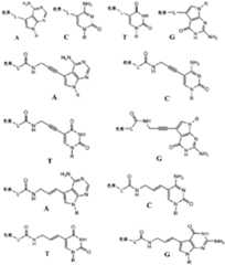 Figure 2024516191000031