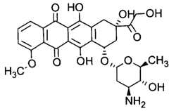 Figure imgf000023_0002