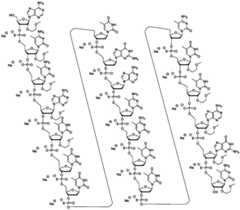 Figure FDA0003319162440000201