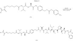 Figure US11229711-20220125-C00099